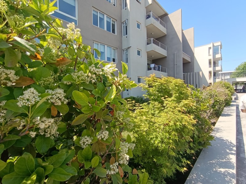 ALBERTO UNDURRAGA, COLEGIO LINCOLN
