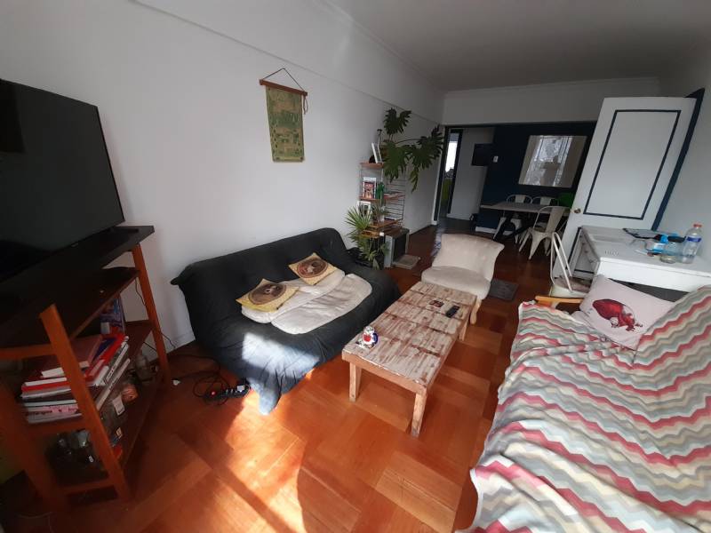 BELLAS ARTES OPORTUNIDAD!