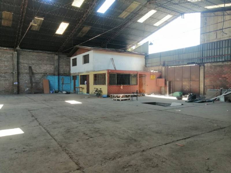 NATANIEL COX / VICTORIA